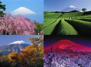 （CA东阪6D）逐秋楓彩の日本本州全景温泉美食豪华六日游