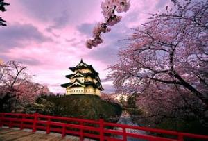 10月22日（CA东阪）逐秋楓彩の日本本州全景温泉美食豪华六日游