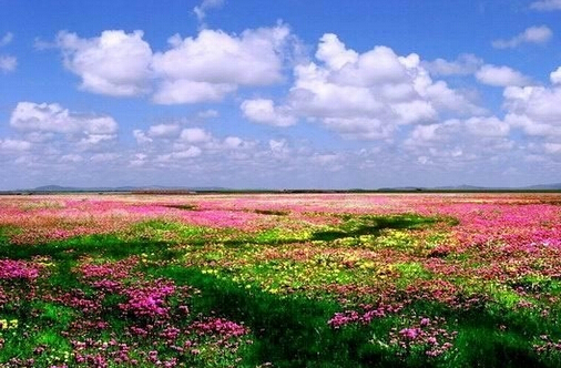 红原若尔盖大草原最佳旅游时间 季节 月份介绍
